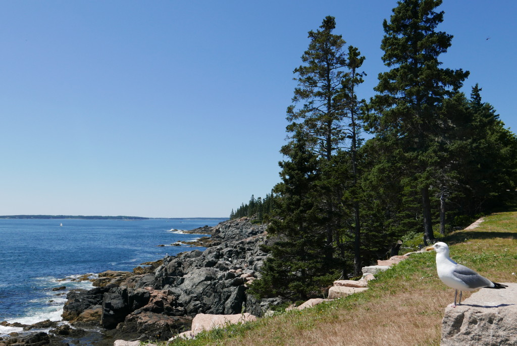 5 things to do in Maine: Travel with Anda