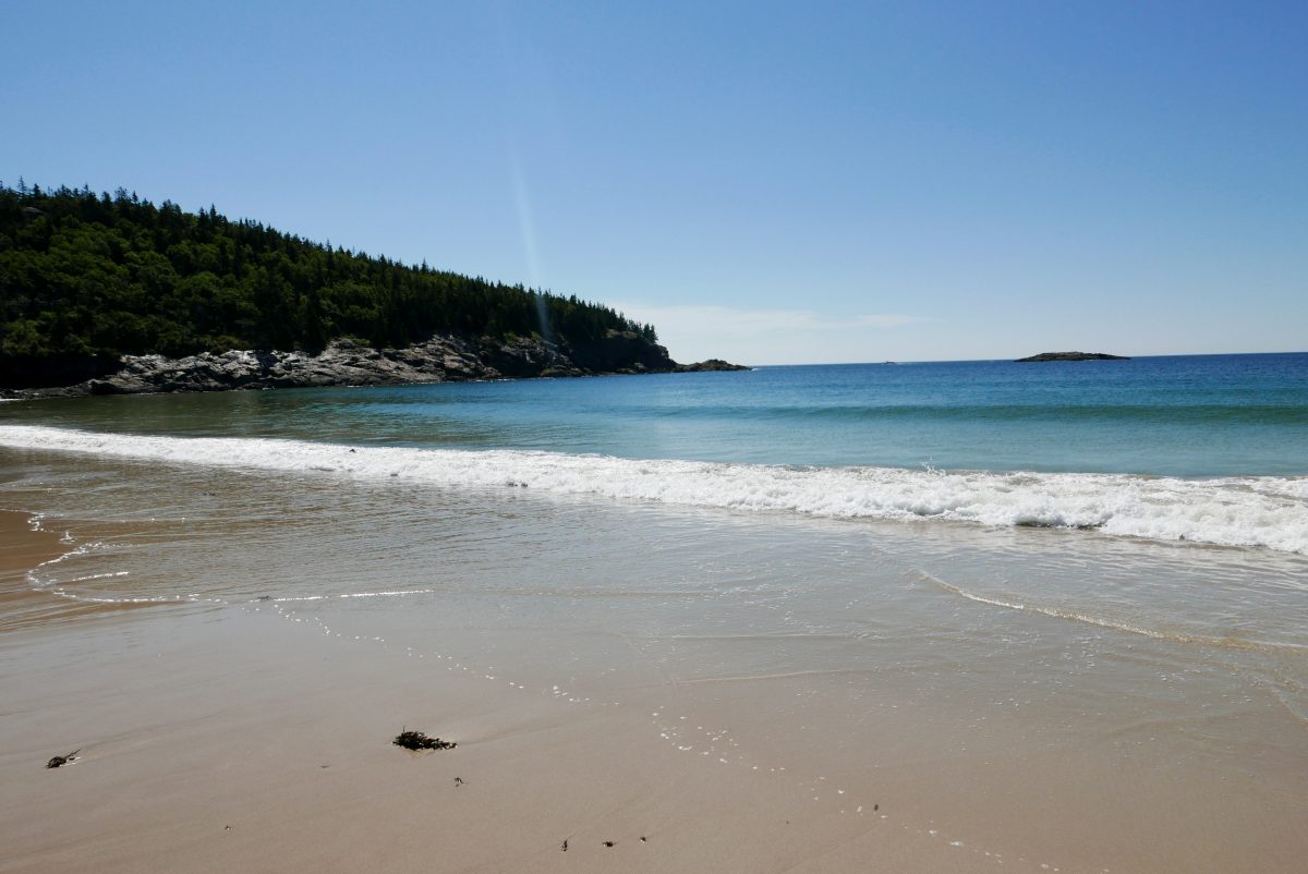 Sand Beach Acadia