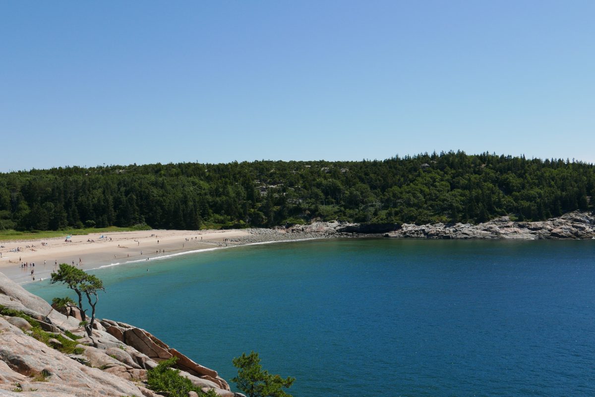 Ocean Path Trail Acadia