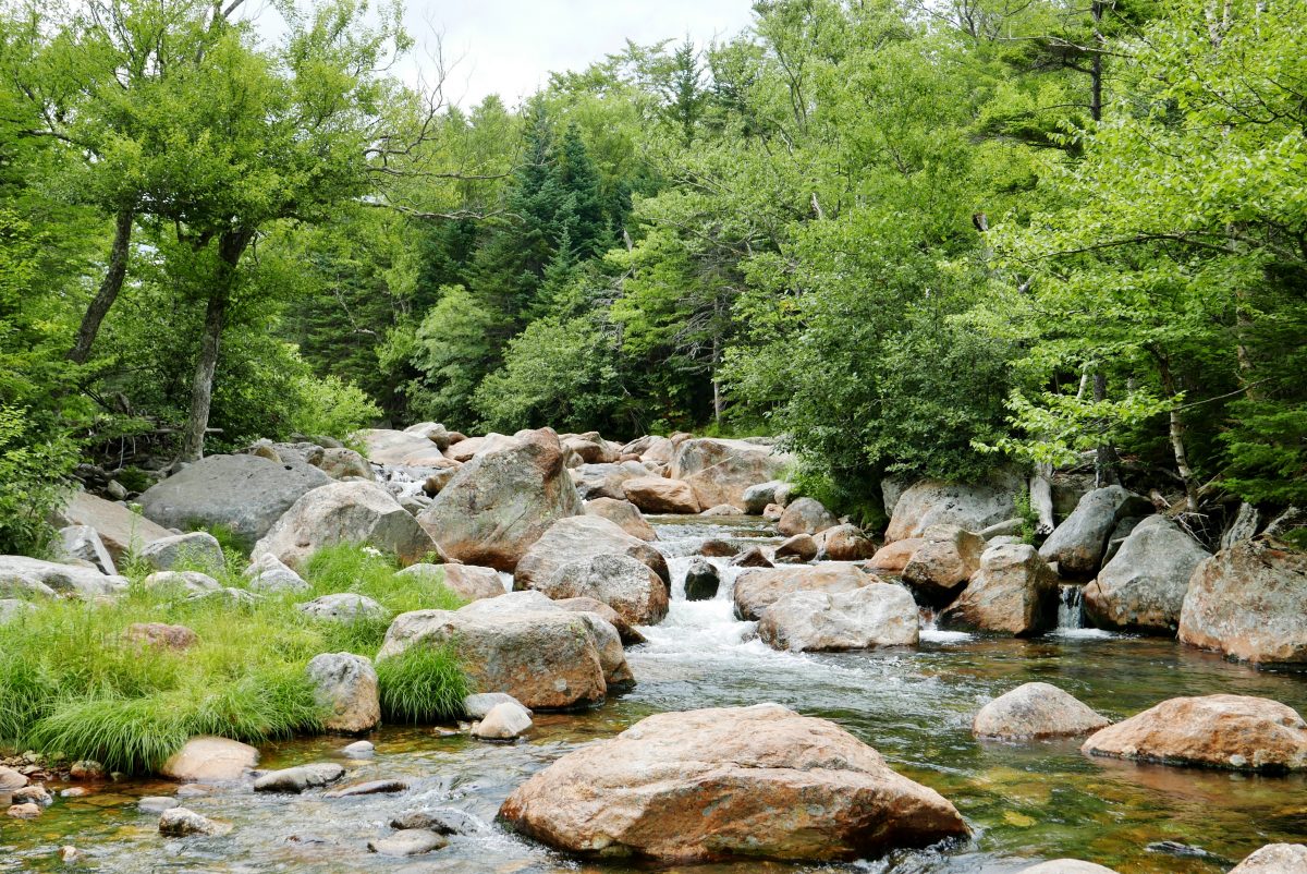 Glenn Ellis falls Travel with Anda