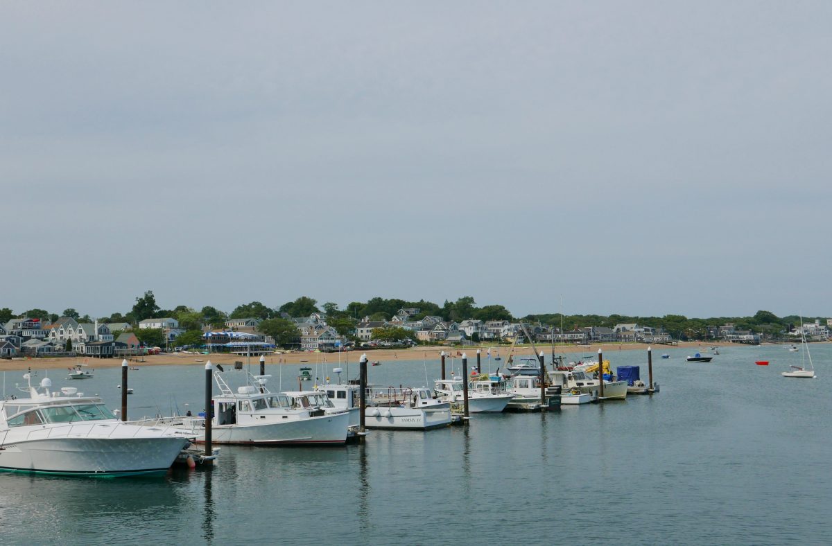 Cape Cod Travel with Anda