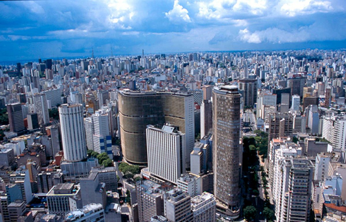 Sao Paulo Jungle